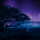 Image for article titled What We Loved About Black Panther